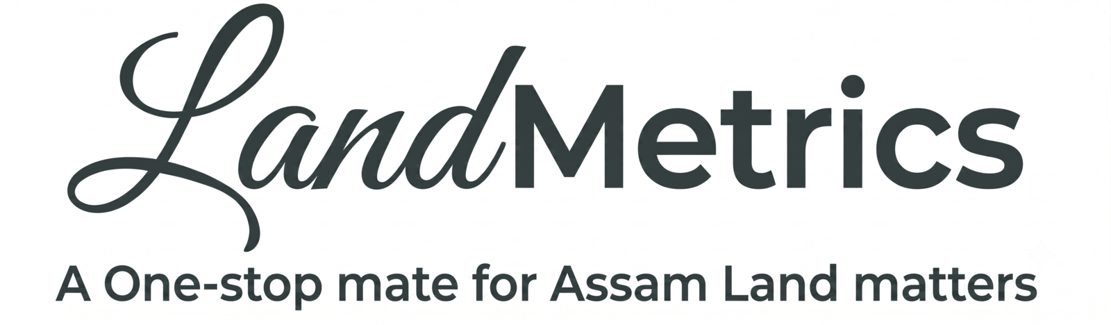 LandMetrics Branding